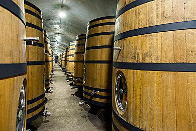 《逐光之旅》CJ参展预告 夏日入海清凉挑战